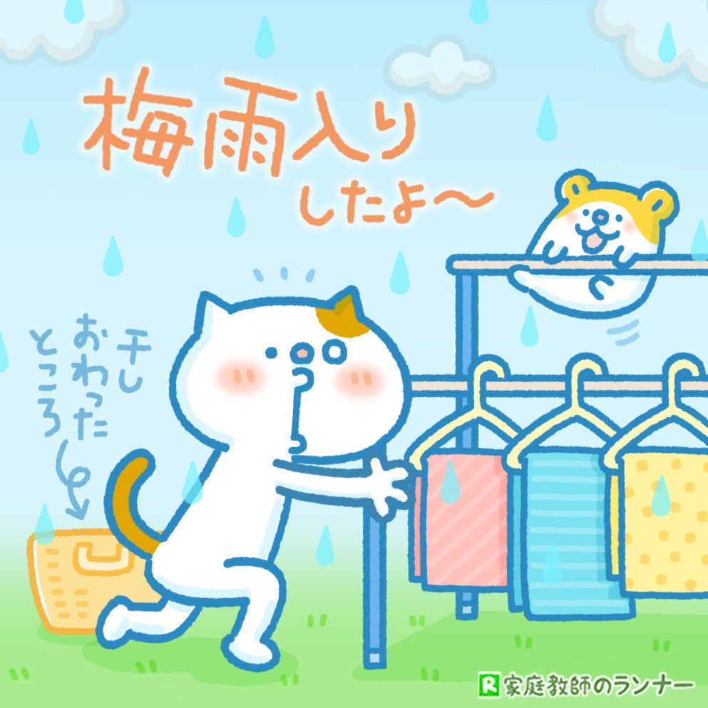 ねこ丸くん 家庭教師のランナー 公式アカウント なんだかどんよりお天気だと思ったら 梅雨入りしたんだにゃ 梅雨明けするまでは 洗濯物はお家の中で干さにゃいとね 梅雨入り 梅雨 洗濯 イラスト T Co Hshmm6smrx