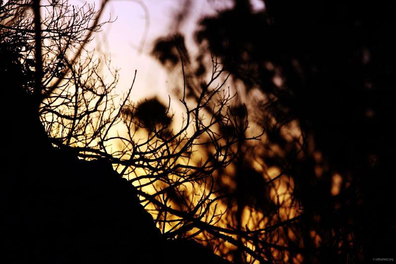 Gareth Lennox tweet media