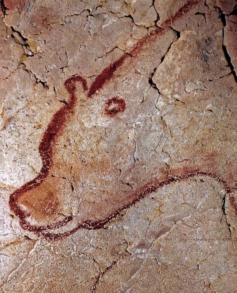 archeohistories's tweet photo. Cave bear from Chauvet Cave in France, made by an artist over 30,000 years ago.

#archaeohistories https://t.co/KIAWUtCUEl