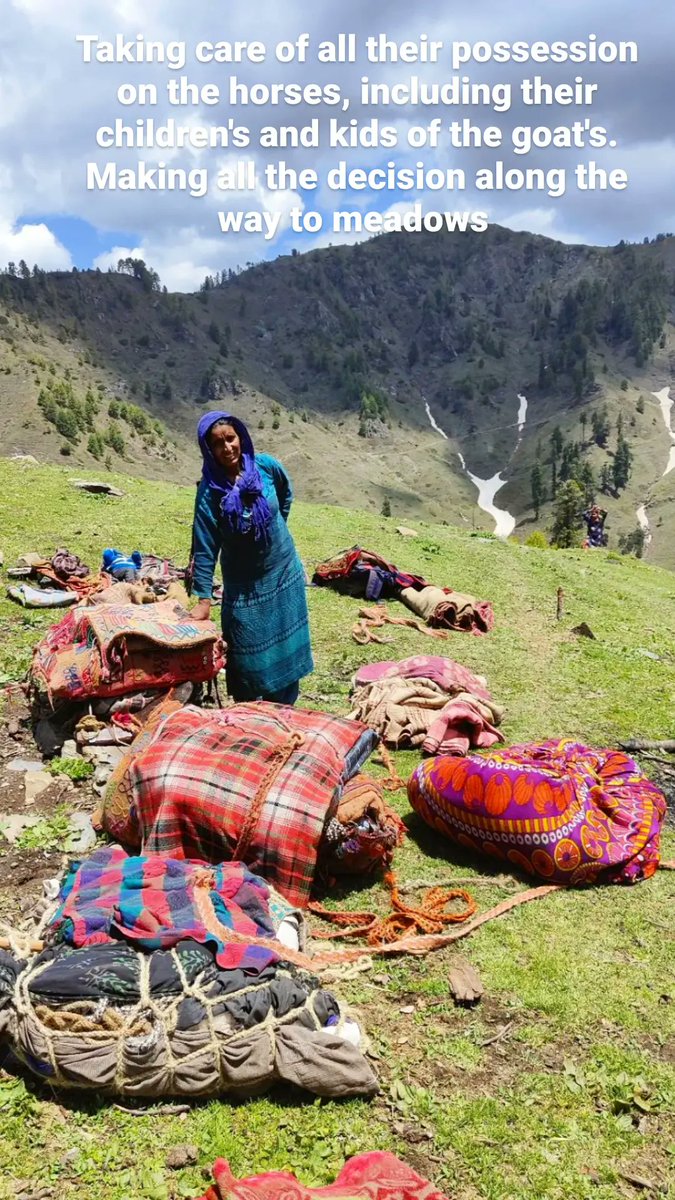 shepherdsofhim's tweet photo. #Gujjar families migrates to high altitude #meadows in the #Jammu &amp; #Kashmir region in summer. Women's of the #family  sets the tone for migration, going ahead with their possession on the horses and mules

#pastoralism #Gujjars #Himalaya #migration #IYRP2026 #SOH #mountains https://t.co/VM50yM4G88