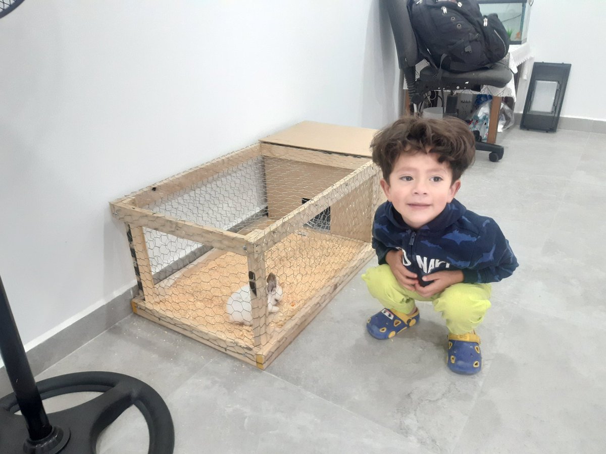 tamalbeat's tweet photo. Casita para conejo= conejo feliz, Hijo feliz. <3 me la pelo la casita... jajaja https://t.co/19HAmnwY3h
