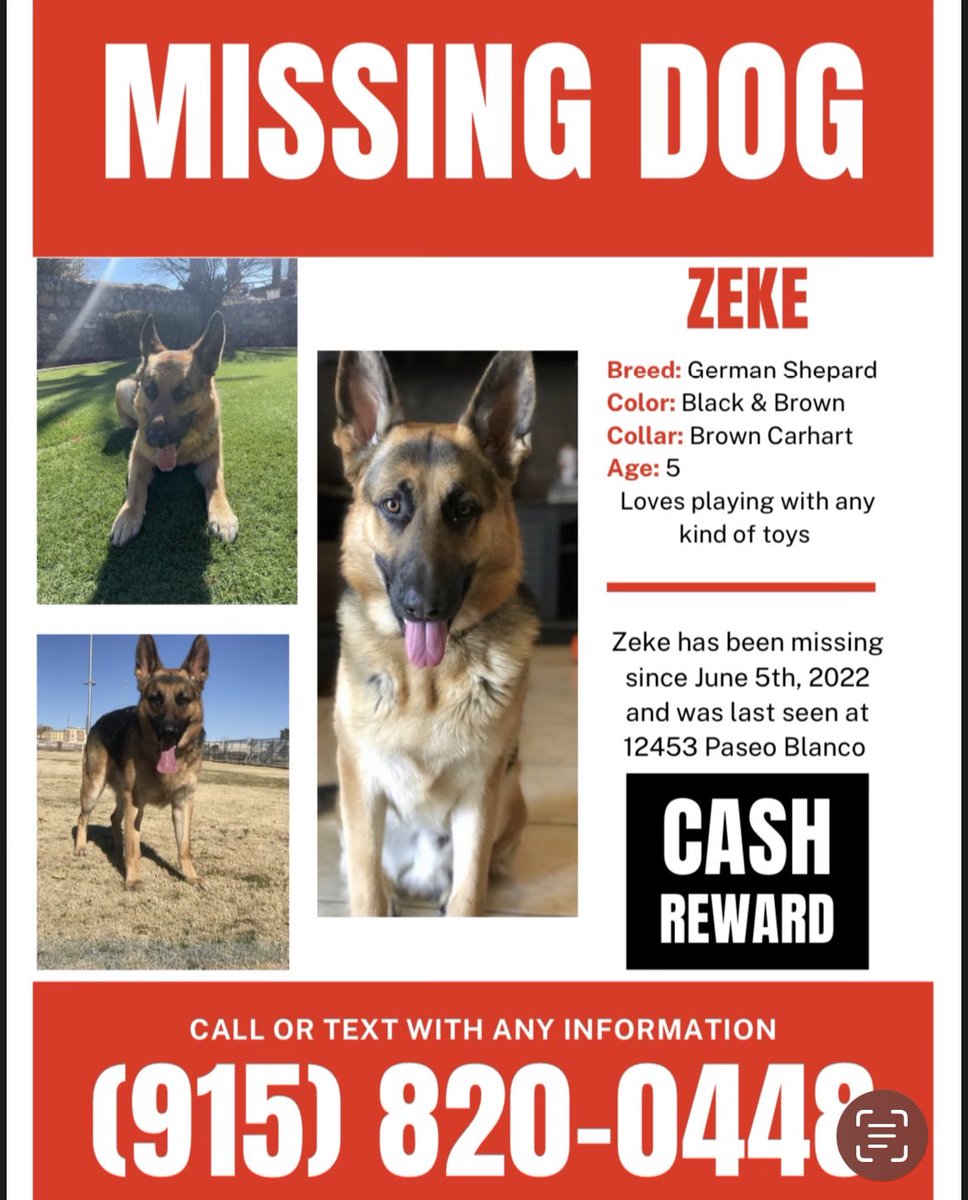 rachblair11's tweet photo. Please help find Zeke. https://t.co/OCVhHsJA1K