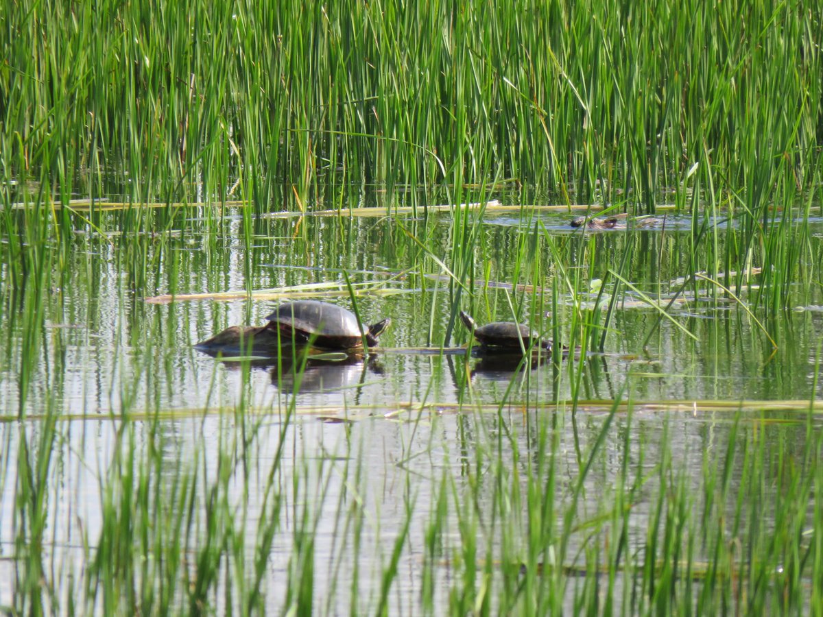 Mark Meeker tweet media