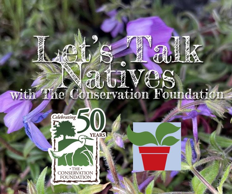 HeyGrowingPlace's tweet photo. Let’s Talk Natives
Saturday, June 11 - Naperville
Sunday, June 12 - Aurora
Free
11am - Butterfly Gardens
1pm - Using Native Plants to Solve Water Issues https://t.co/IdPJrN2mg7