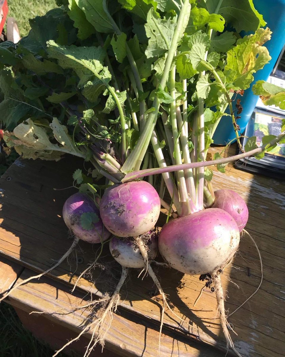 FriendsofFryingPan tweet media