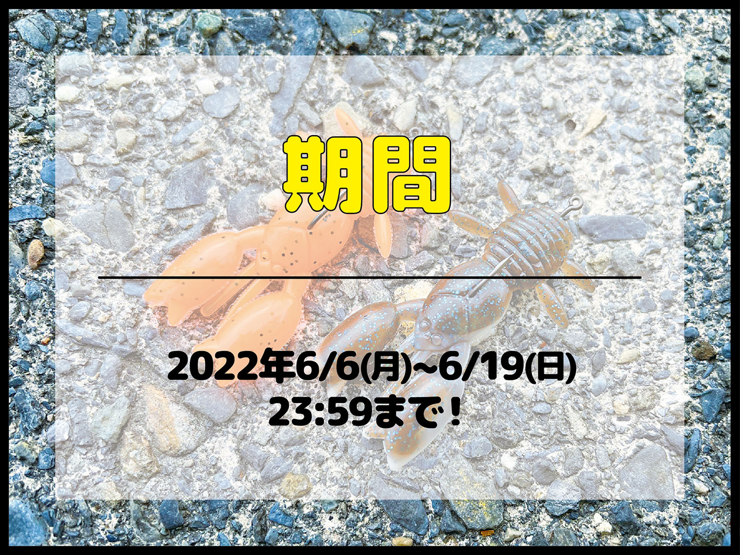 あやねえ 18wzs Twitter