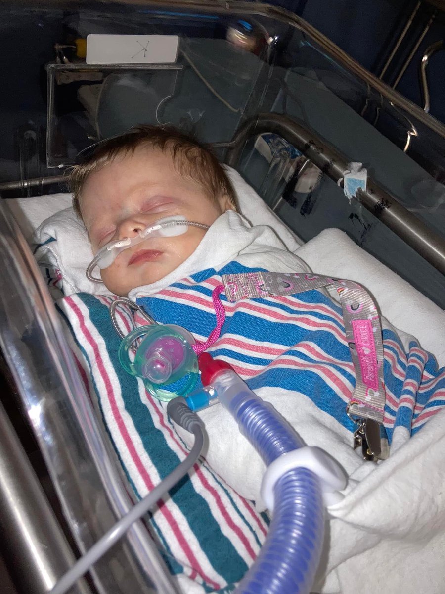 EylanM's tweet photo. My granddaughter has been sick. Prayers please. She has a virus but is doing better ❤️‍🩹 https://t.co/jvcgcAeyTW