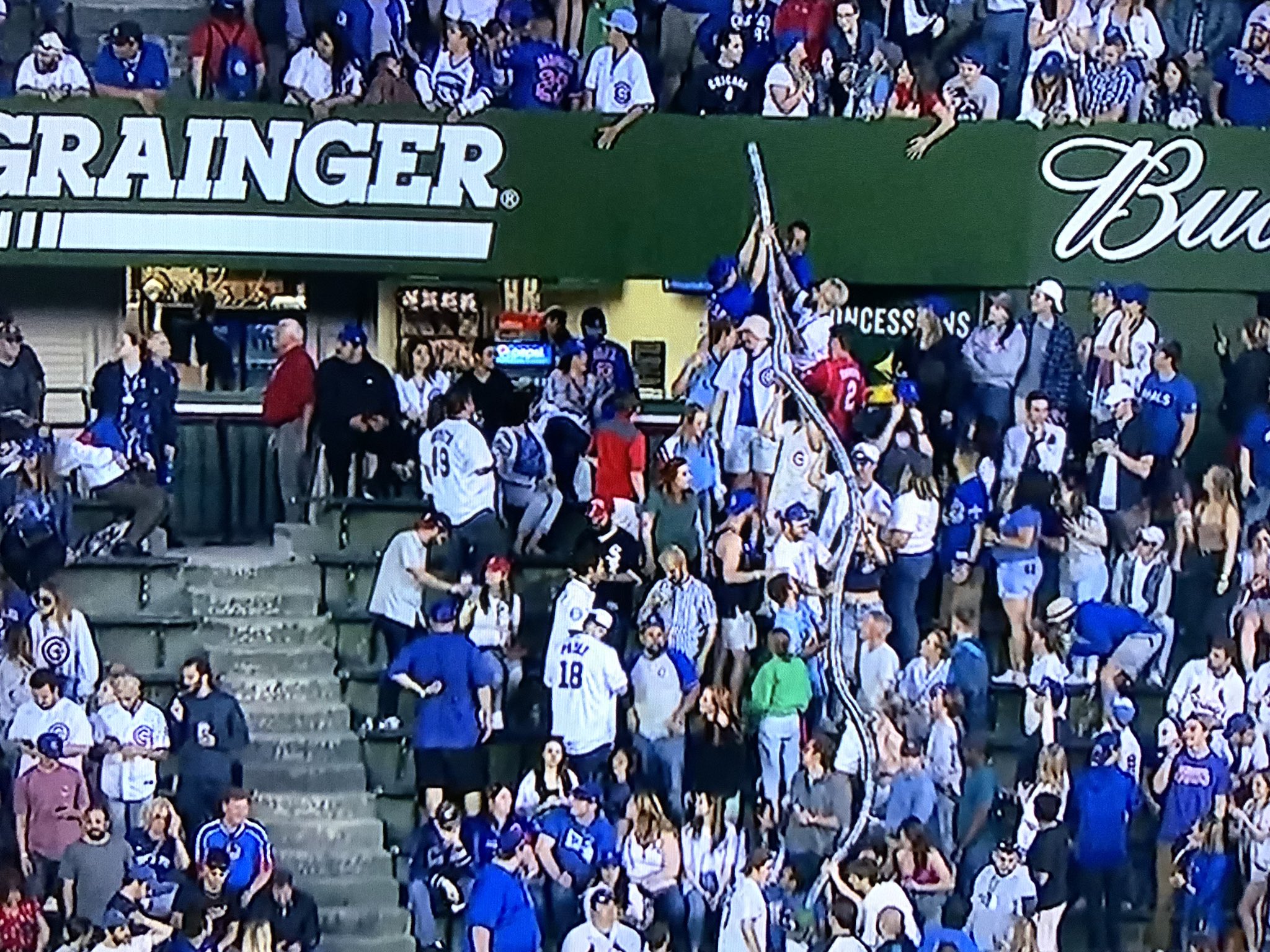 Michael Salomie on Twitter "Snake Cup Shenanigans aside. This Cubs