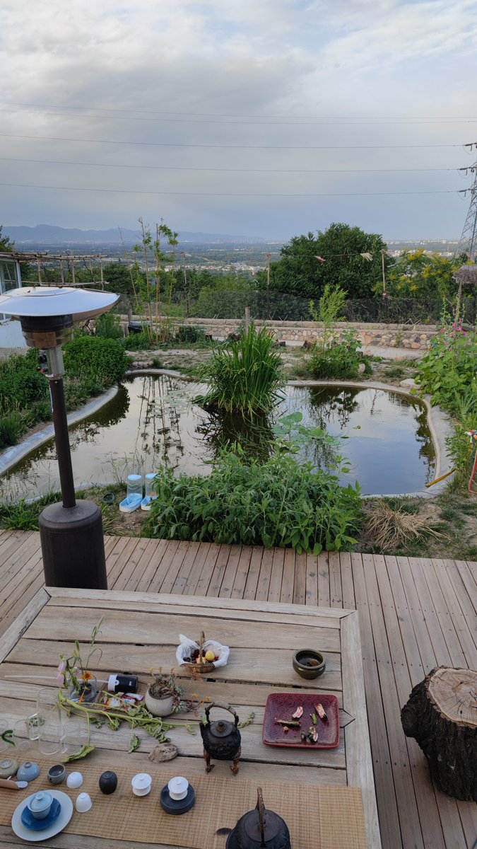 Enjoy The Dragon Boat Festival