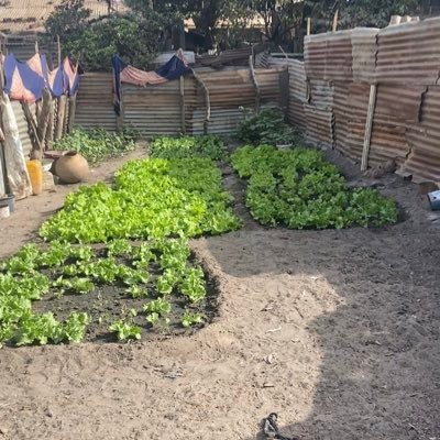 Bubacarr cham tweet media