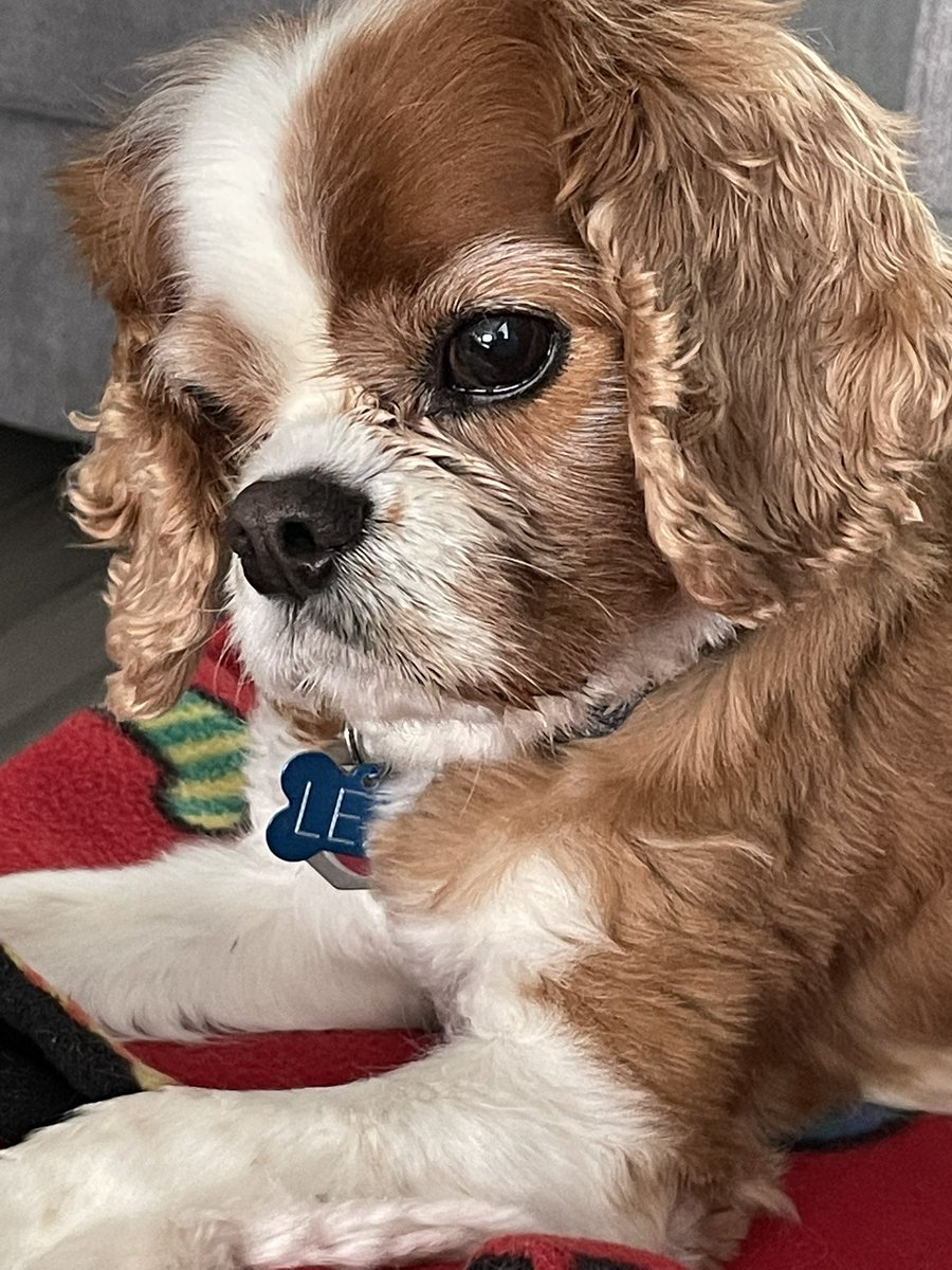 Lexi’s look reflects how I feel about so many things right now…