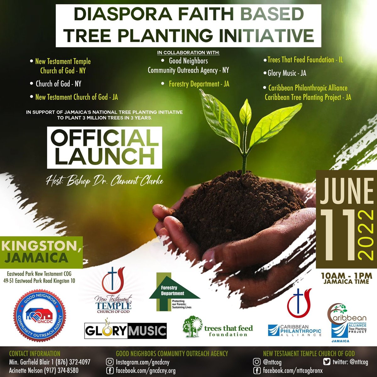 Caribbean Tree Planting Project tweet media