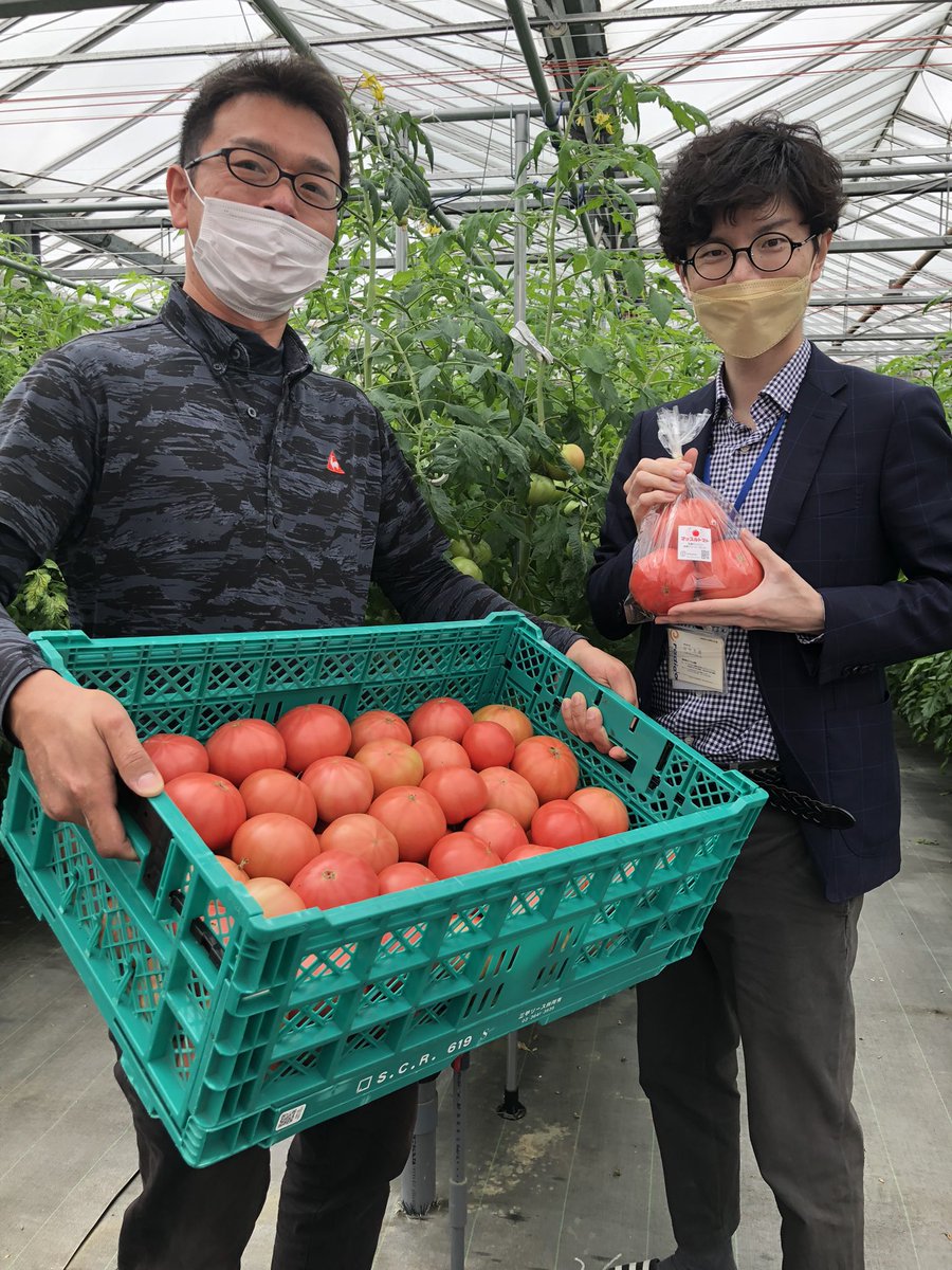 今日の #LOVESHIGAリポート は東近江市のトマト農家「 #フェリシタ