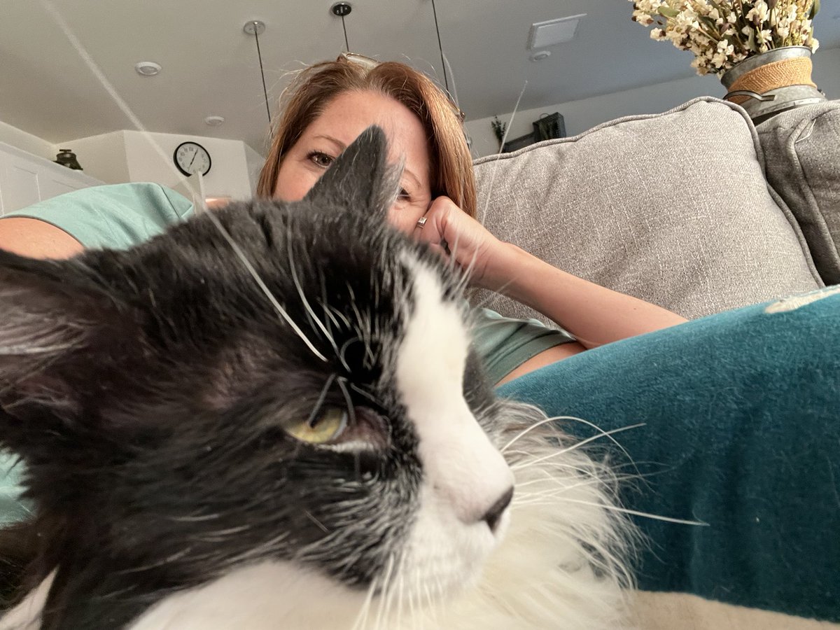 Still hangin wif mama. I missed her wen she gon on  bacashun. #sundaywithmama #CatsOnTwitter #cats