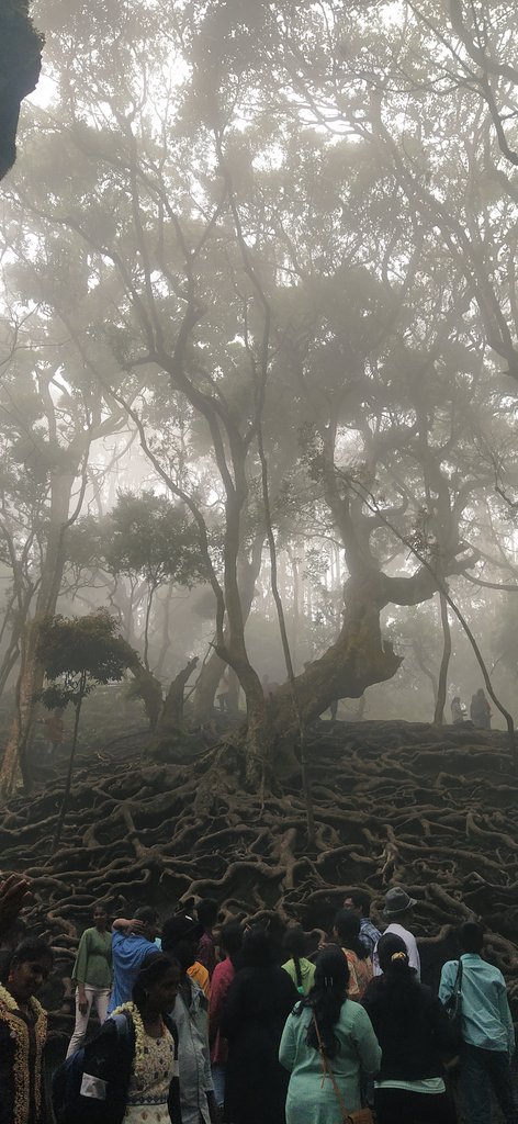 Breathe 💚 #gunacave #kodaikanal #nature #wherelifeexist #Human #mysteriousbeauty #TamilNadu