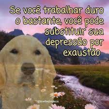 venusXlll's tweet photo. todo domingo assim https://t.co/DAtUBN6qg2