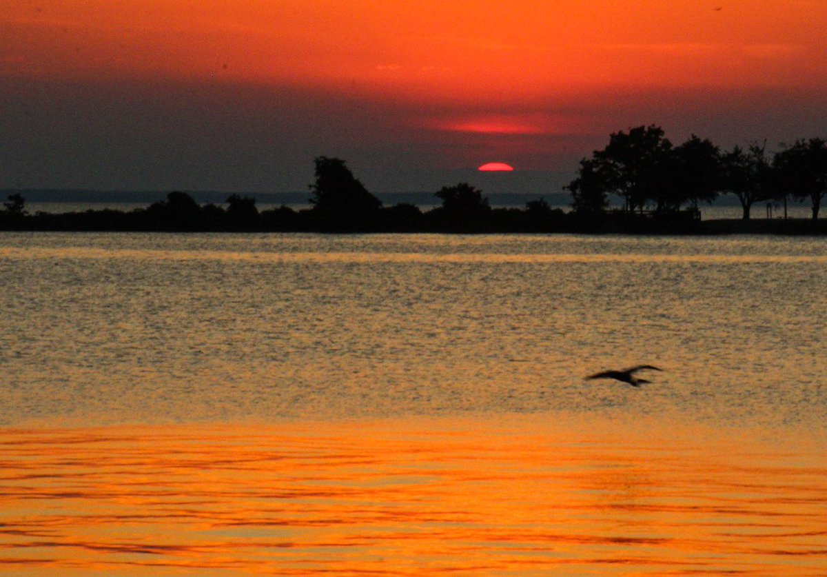 Lake Livingston State Park  6-5-22