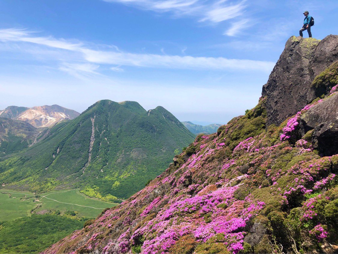 九重の山並みとミヤマキリシマ。初めて訪れたが、目を見張る絶景が広がっていた。こんな自然の近くの場で、いつかプログラムを開催したい。