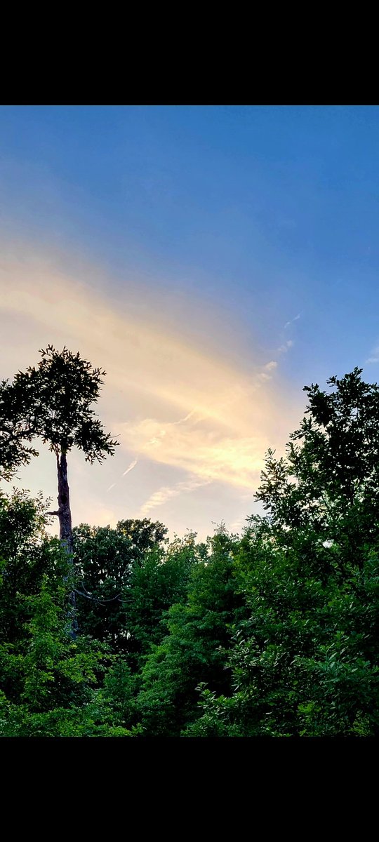 JasonKolo4's tweet photo. @claudiorossi11 A #beautiful sky this evening in #Cleveland #Ohio! #BrooksideReservation #photo #photography #photographer #getoutside https://t.co/wdclkpDOoz