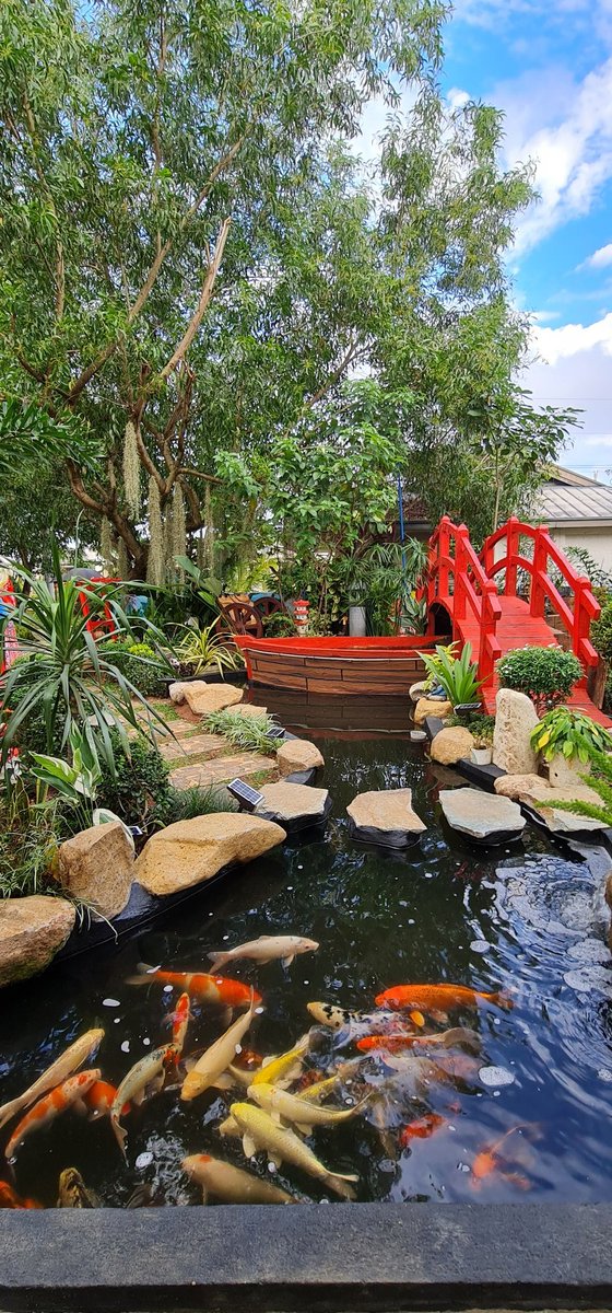 iTravel2Live75's tweet photo. My small garden.
#japaneseInspired
#zenliving https://t.co/4E1ZMlhetf