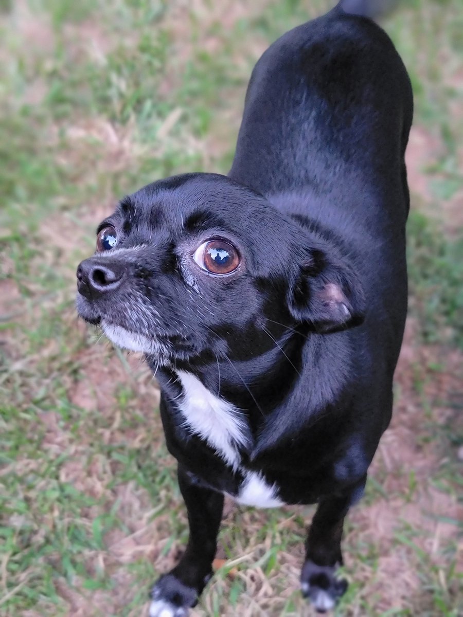 Five Finger Jeff Punch 👊🏽 tweet media