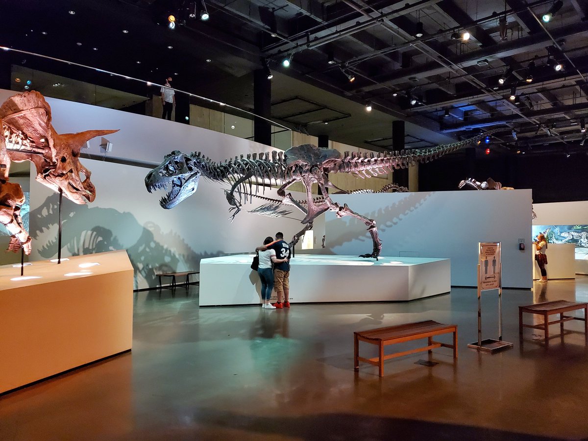 hmns's tweet photo. Happy #FreeThursday, Houston.
Our permanent exhibitions are free-free-free tonight from 5pm to 8pm. Kick off the weekend with us.
🙌🙌🙌
VISIT: https://t.co/XR9aL2aTYU https://t.co/YNe1cPWQVp