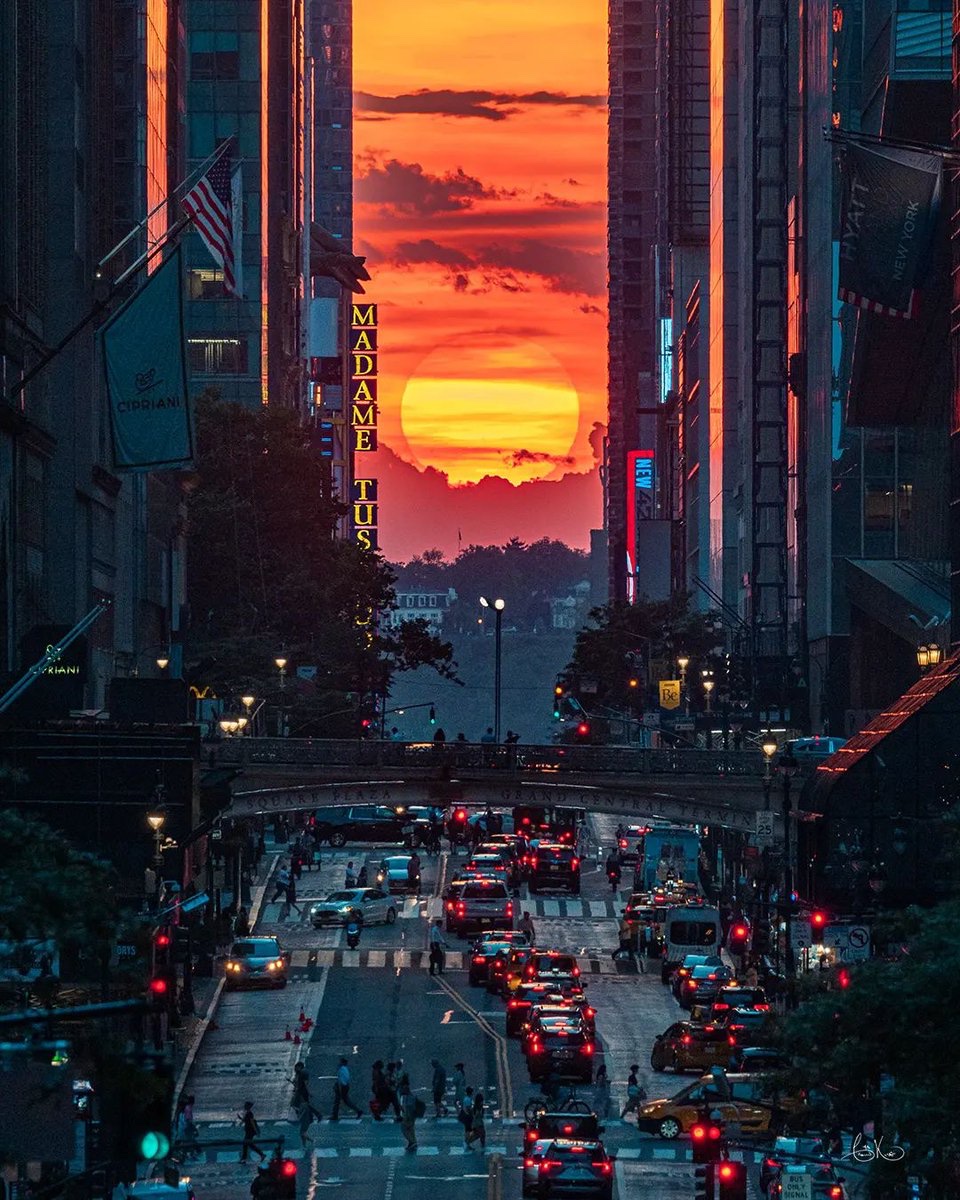 Street Evolution tweet media