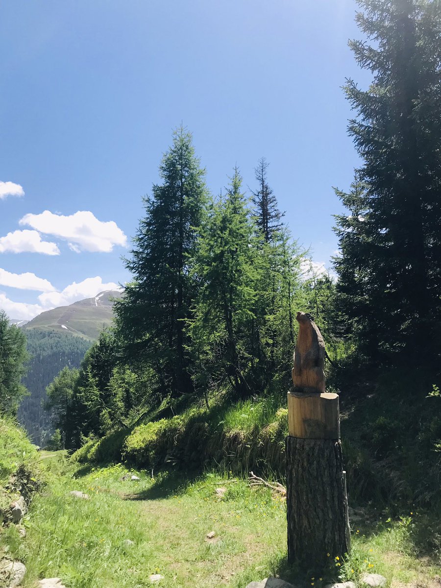 marilyNECO's tweet photo. スイス最高すぎました🇨🇭
また戻って来れますように。
DJマジで楽しかった！ https://t.co/tnFB7d789f