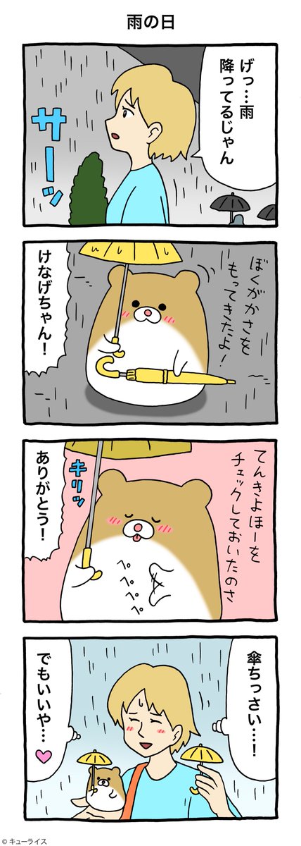 4コマ漫画けなげちゃん「雨の日」https://t.co/g8GOdCYyOJ

#けなげちゃん #キューライス 