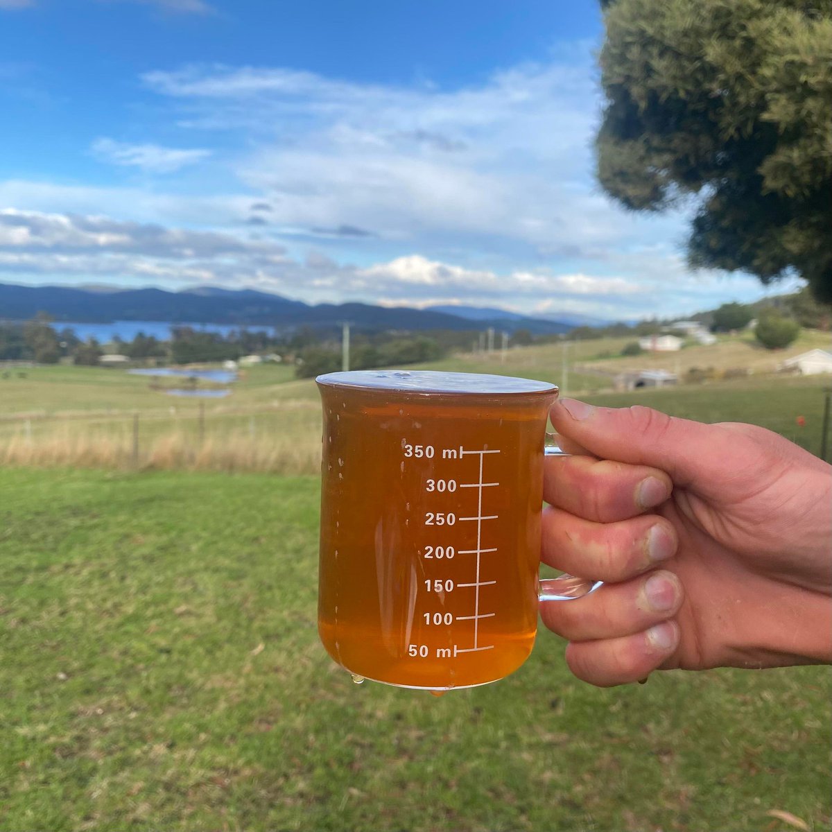 Beaker Street tweet media