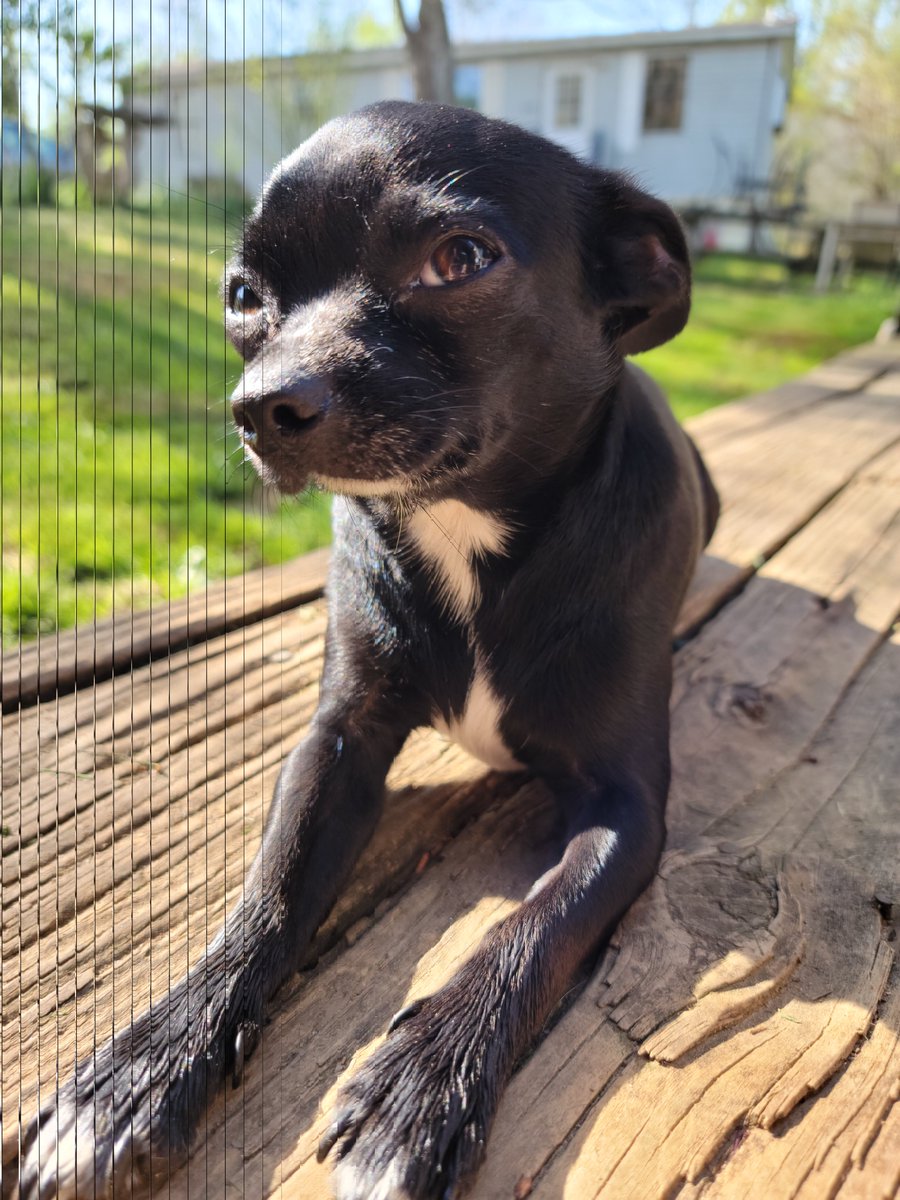 Five Finger Jeff Punch 👊🏽 tweet media