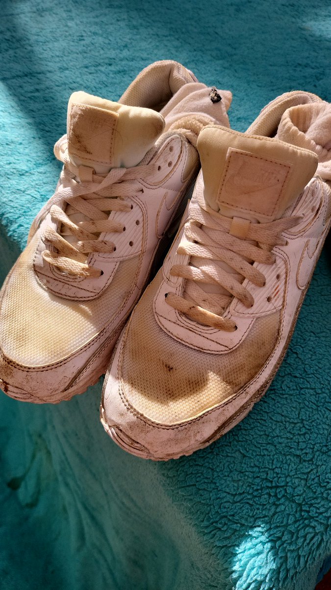 SniffPerth's tweet photo. Well they are no longer white.. 5 loads of piss so far!!
Want to add some more??
#am90s #airmax #perthsneakers #beaters #cumdump #sneakerheads #fucked #sneakersniffer https://t.co/gqLEl8bnx9