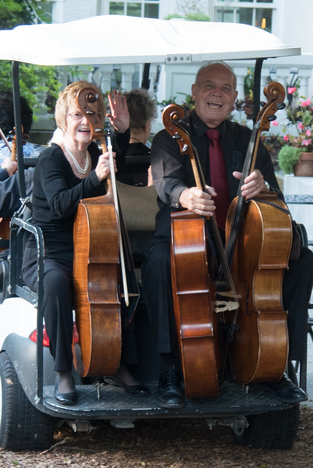 Strings Con Brio (stringsconbrio) / Twitter