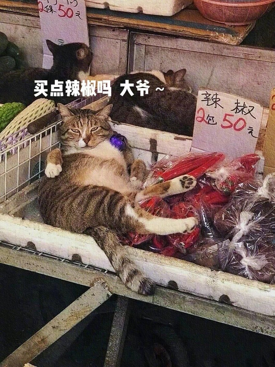 狐辣汤 tweet media