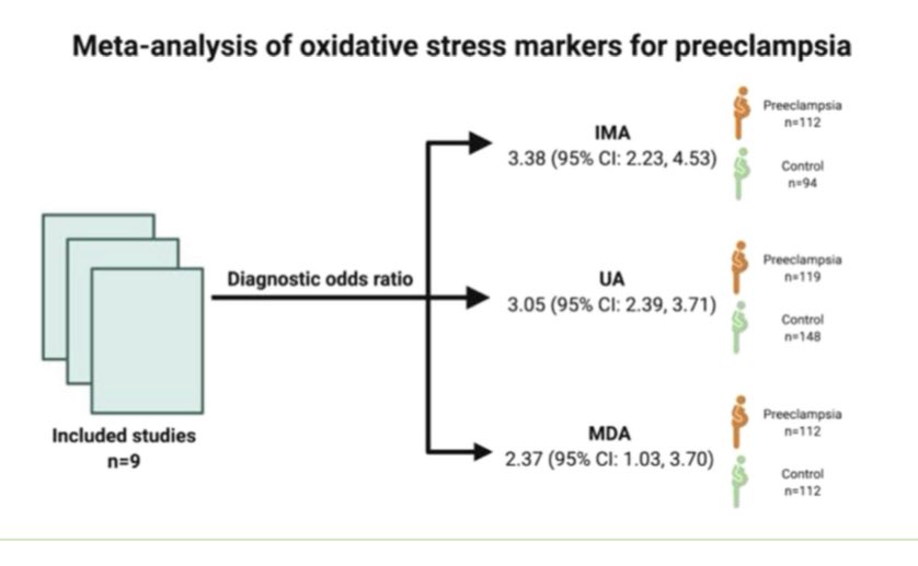 A/Prof Lana McClements (@mcclementslana) on Twitter photo Great to see my PhD student’s <a href="/AfroseDinara/">Dinara Afrose</a> first paper out describing #oxidativestress #biomarkers in #preeclampsia <a href="/BiologySexDiff/">Biology of Sex Differences</a> <a href="/SpringerNature/">Springer Nature</a> <a href="/UTS_Science/">UTS Science</a> <a href="/UTSResearch/">UTS Research</a> Special thanks to <a href="/HaoChen79075796/">Hao Chen</a> & <a href="/HansbroResearch/">Hansbro Research</a> for their contribution 👏 bsd.biomedcentral.com/articles/10.11… Great to see my PhD student’s <a href="/AfroseDinara/">Dinara Afrose</a> first paper out describing #oxidativestress #biomarkers in #preeclampsia <a href="/BiologySexDiff/">Biology of Sex Differences</a> <a href="/SpringerNature/">Springer Nature</a> <a href="/UTS_Science/">UTS Science</a> <a href="/UTSResearch/">UTS Research</a> Special thanks to <a href="/HaoChen79075796/">Hao Chen</a> & <a href="/HansbroResearch/">Hansbro Research</a> for their contribution 👏 bsd.biomedcentral.com/articles/10.11…