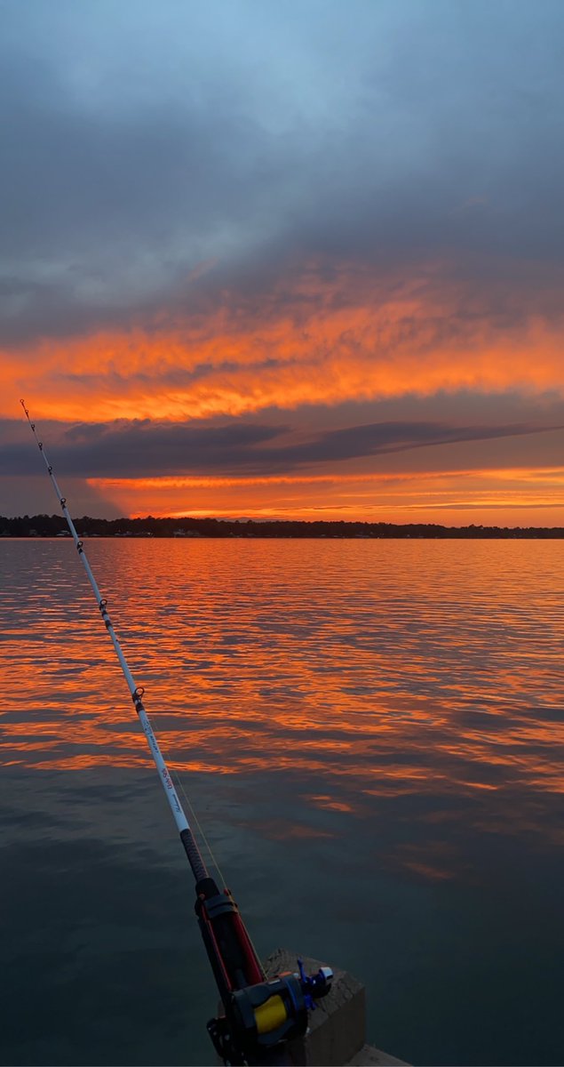 Roger Jackson tweet media