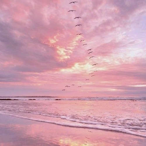 Allon Boosle tweet media