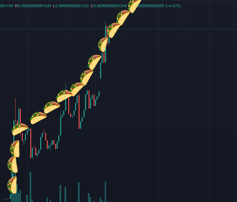 CryptobellBSC's tweet photo. And this is nothing 🌮🌮🌮🌮 https://t.co/MeOOba9TMX