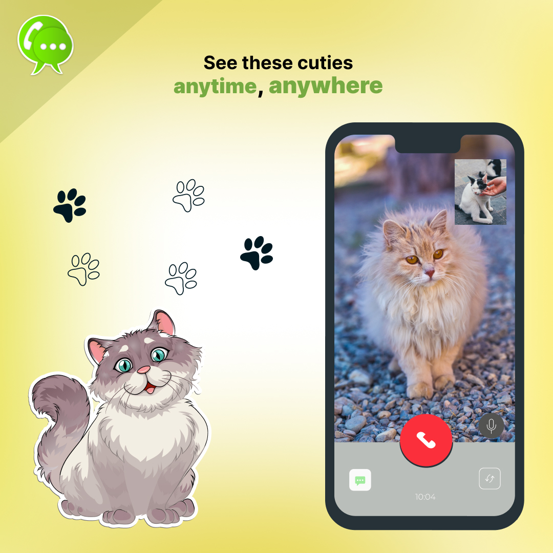 neeopal's tweet image. No matter, our dear friends will always be there. See your cuties anytime, anywhere with Neeo HD Calling. 

 #neeo #neeopal #apps #messenger #calls #videocalls #audiocalls  #translator #nearby #social #translation #socialmedia #voice_translation #callingapp #cats