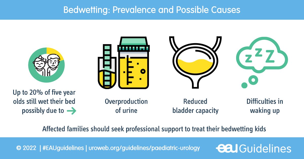 It's #worldbedwettingweek. Important because bedwetting can cause serious impact on a child regarding self-esteem and emotional well-being. 

👉 Treatment options with good success rates are available!⁣

Follow the #eauguidelines on Paediatric Urology
👉 uroweb.org/guidelines/pae…