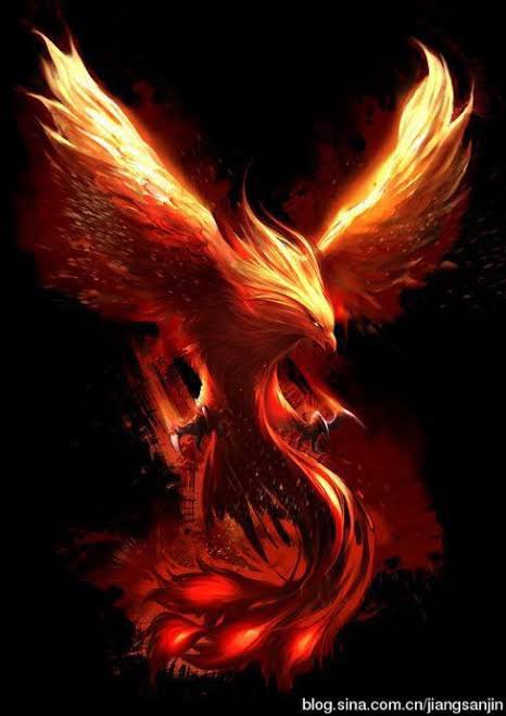IYKYK #risingphoenix #rise #growth #phoenixrising