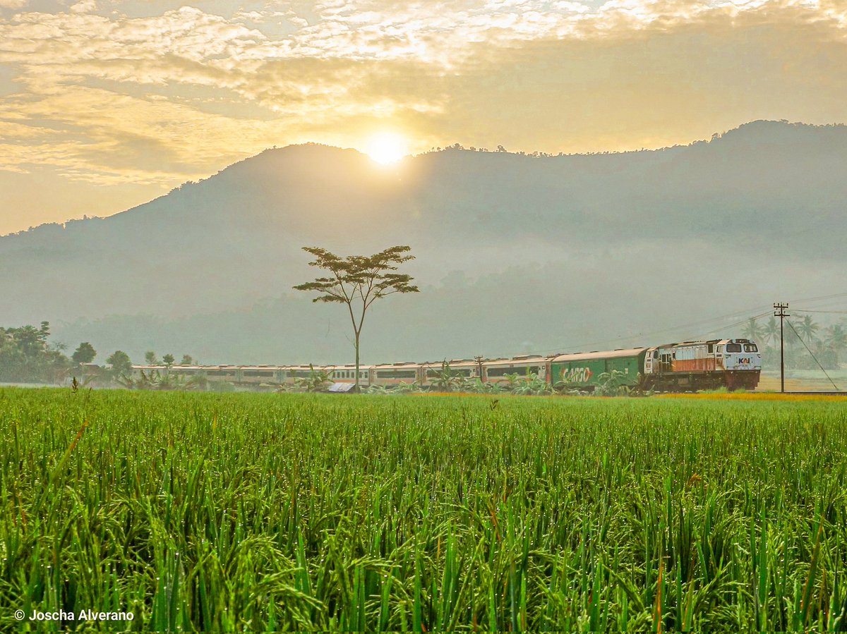 Cibatu Poenya

#FotoSepur