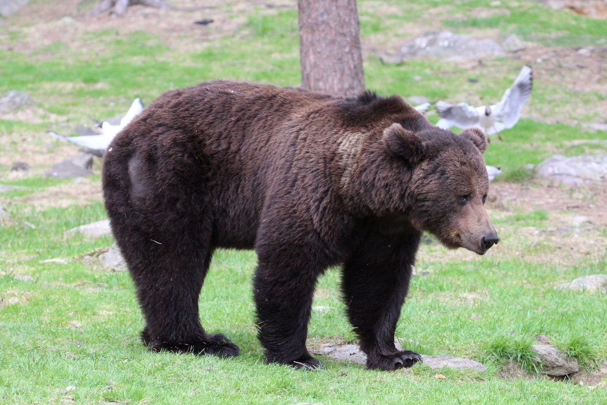 Dr. Danny Sadler tweet media