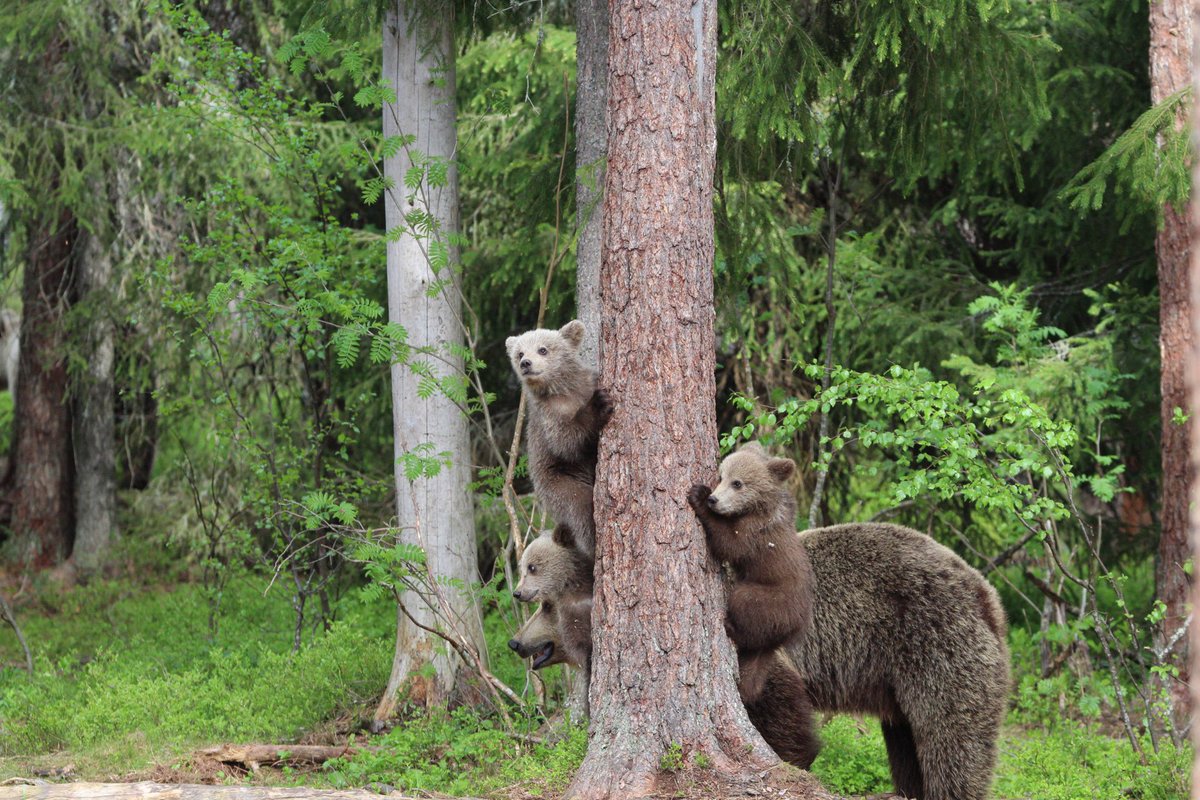 Dr. Danny Sadler tweet media