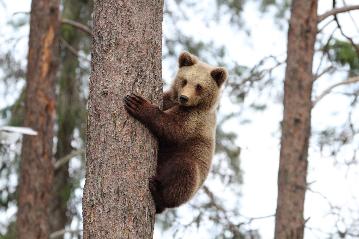 Dr. Danny Sadler tweet media