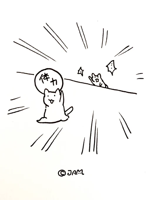 体力を持っていかれる猫 