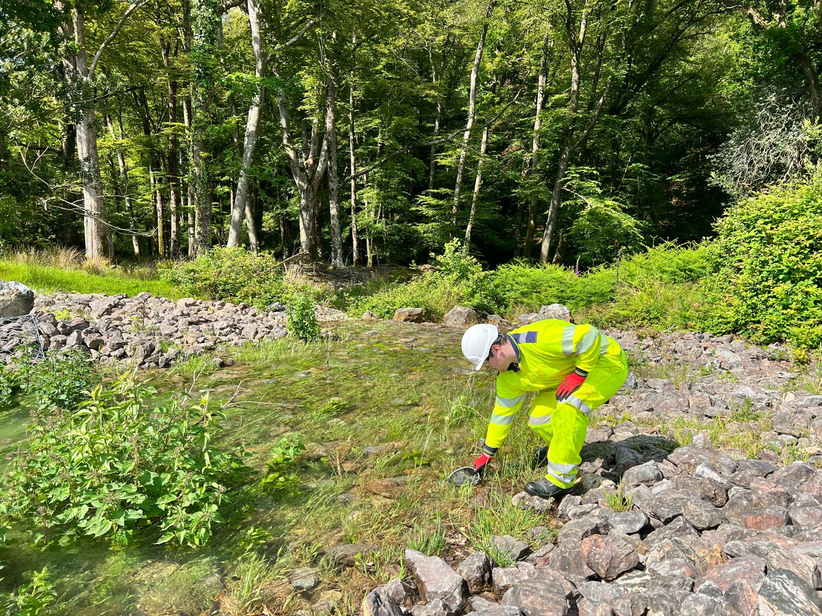 To mark #worldenvironmentday2022 we're sharing how we are supporting budding environmentalists of the future. Alex Manning, final year student at the <a href="/PlymUni/">University of Plymouth</a>, talks about his 8 week placement at the Hemerdon Mine in Devon
tungstenwest.com/post/tungsten-…
#ukmining #esg #sustainablemining