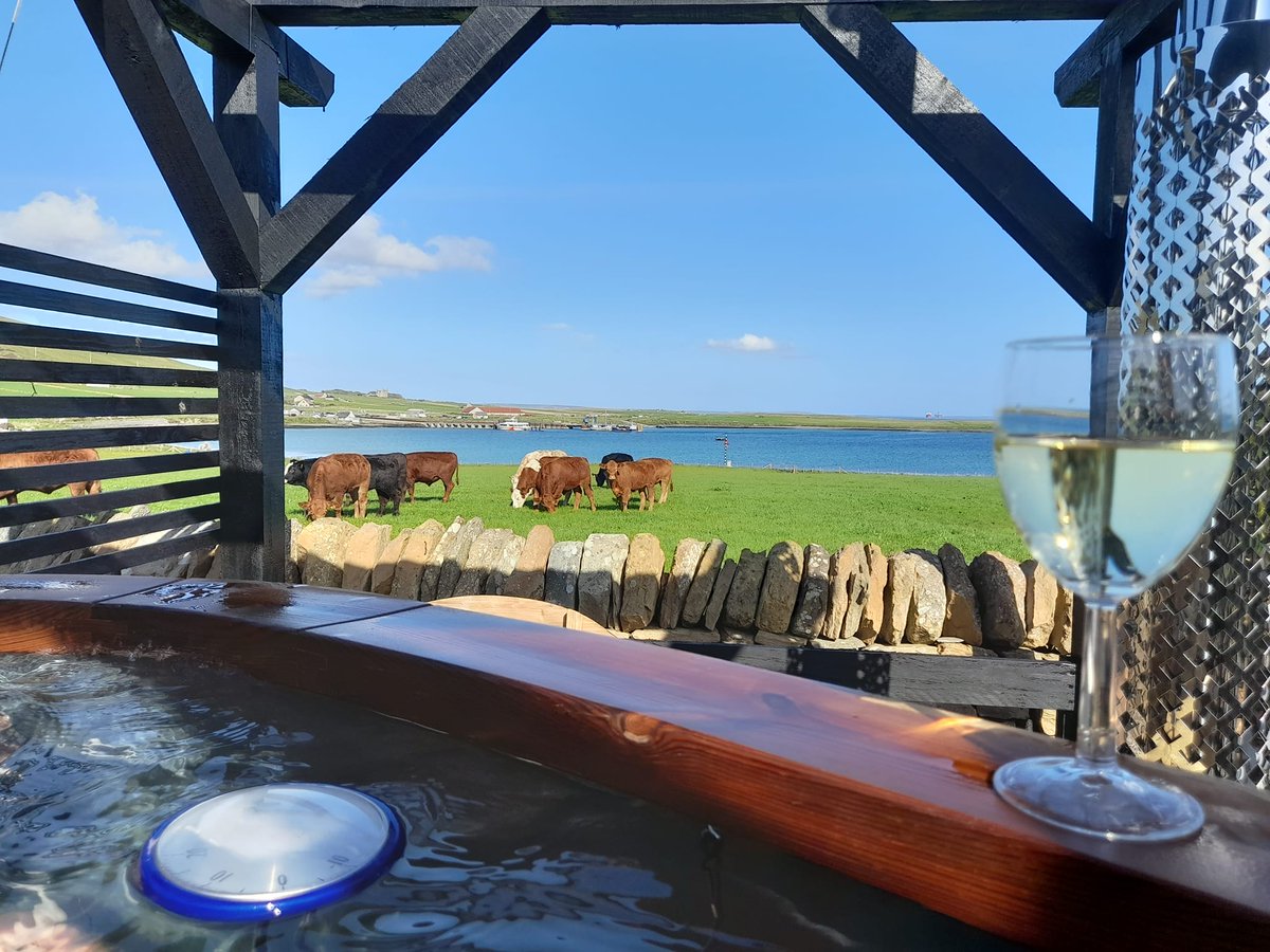 WeAcceptPets's tweet photo. Availability week beginning 9th July at Puffin Quoy. Come and enjoy the wonderful sea views and hot tub for a £200 discount.
https://t.co/Us2t7ZzBJa
#Orphir #Orkney #HolidayCottage #PetsWelcome #HotTub #Summer2022 #JulyDates #Discount https://t.co/ctZYS88zct