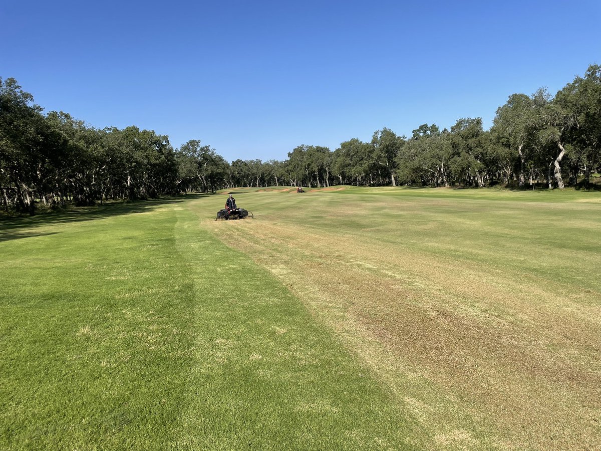 SR89turf's tweet photo. Summer #turf works in the forest are much like spring works, just a tad more aggressive https://t.co/9ptCg1Kpr6