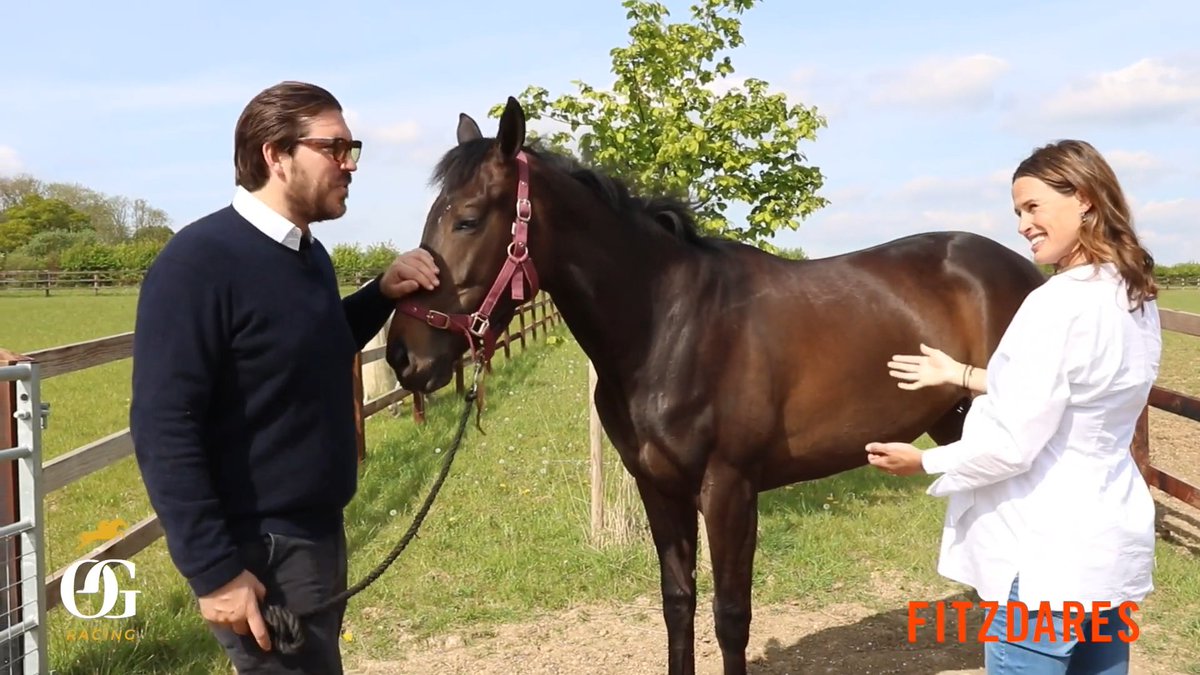OldGoldRacing's tweet photo. The brilliant @francescacumani gives @Fitzdares CEO @WIGWOOD a crash course in all things #FitzPerfectly 😎🏇

Watch here: https://t.co/7xa4rogtMb

#MondayMotivation #HorseRacing https://t.co/IfLJtL4Sv1